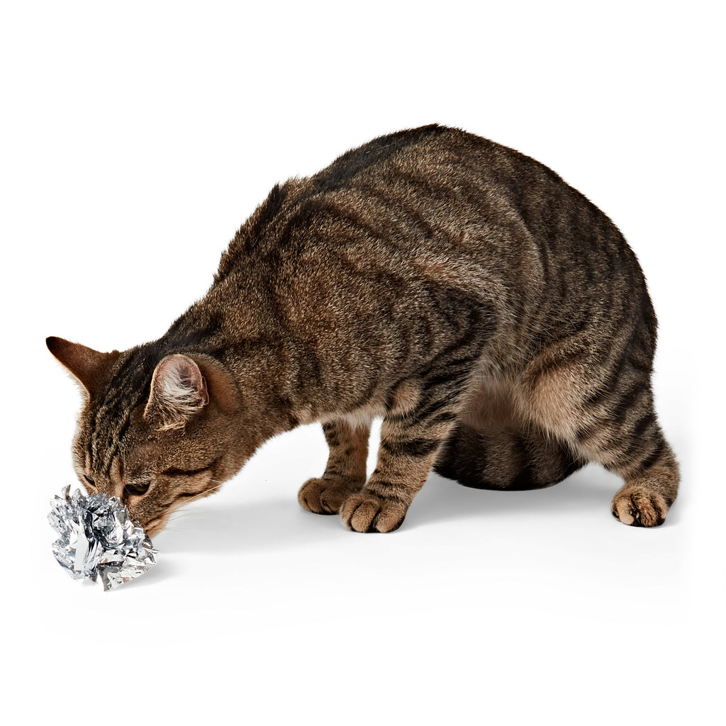 Scrunchie Crinkle Ball Cat Toy – Fun Interactive Play