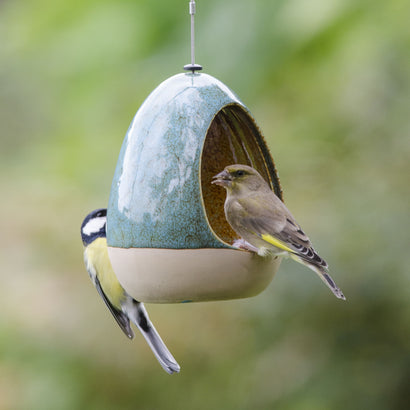 Bird & Wildlife