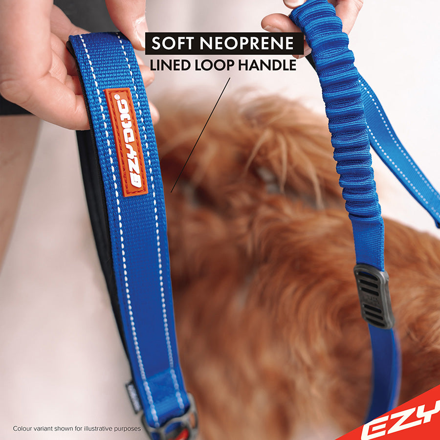 EzyDog ZeroShock Dog Lead – Black 120cm Shock-Absorbing Leash