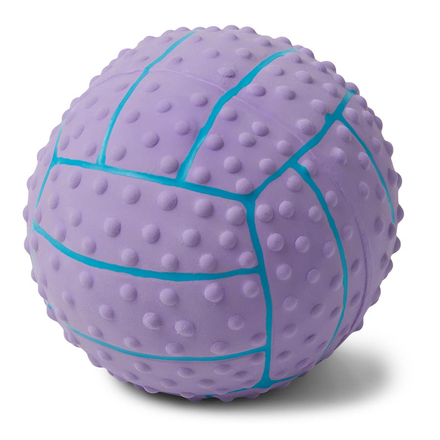 Latex Squeaky Ball for Small Dogs – Fun & Durable Pet Toy
