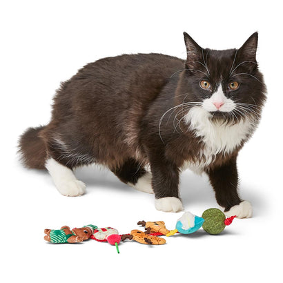 Cat Supplies