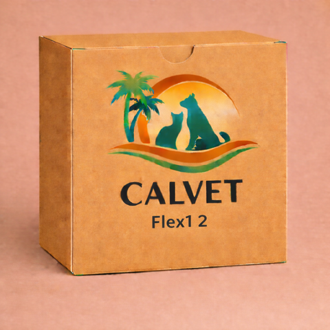 Flex1 2