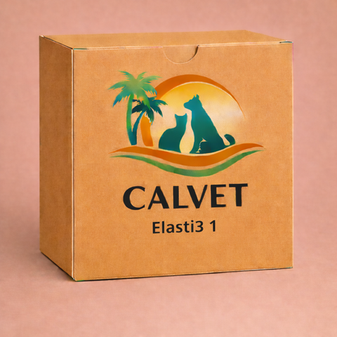 Elasti3 1