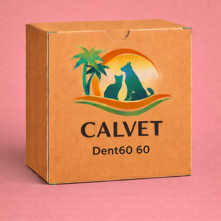 Dent60 60