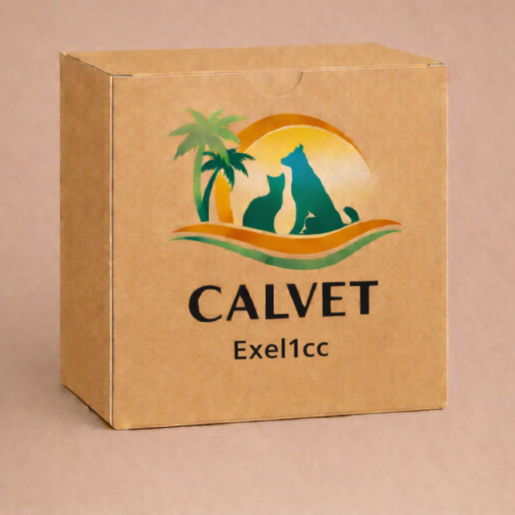 Exel1cc